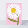 Oopsie Daisy - Happy Birthday/Pink Daisy Birthday Card