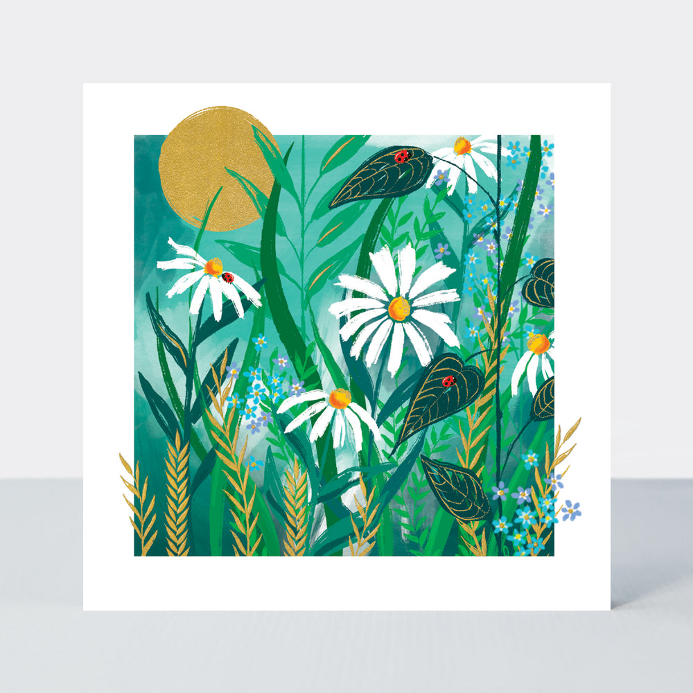 Gallery - Daisies On Teal  - Blank Greetings Card