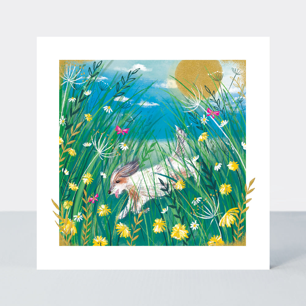 Gallery - Dog In Meadow  - Blank Greetings Card