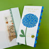Money Wallet Card - Bee & Blue Allium/A Special Gift For You
