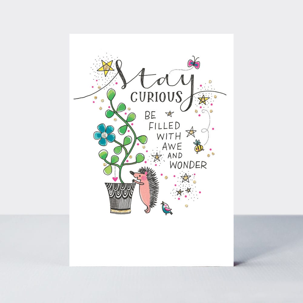 TLC - Stay curious/hedgehog &amp; plant - Greetings Card
