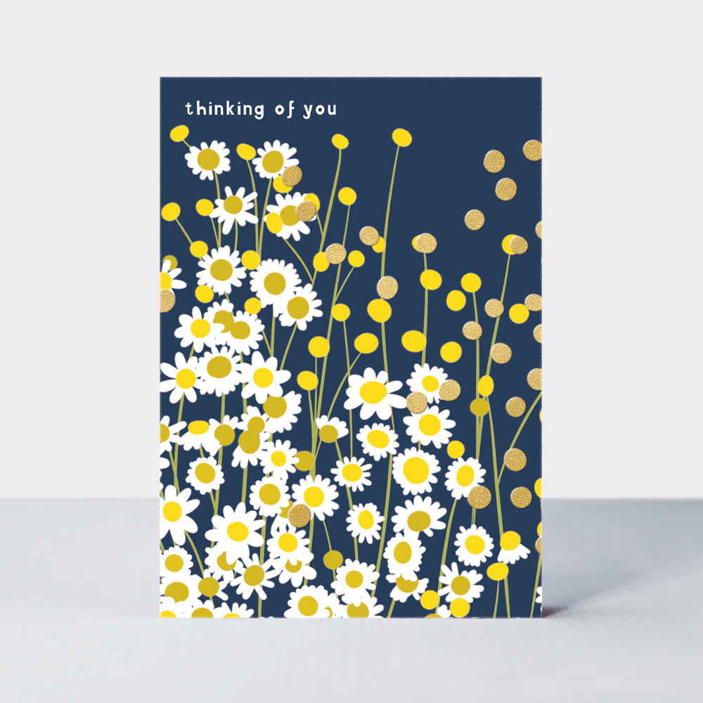 Belle -  Daisies - Thinking of You Card